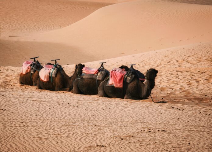 Merzouga Moroccan desert